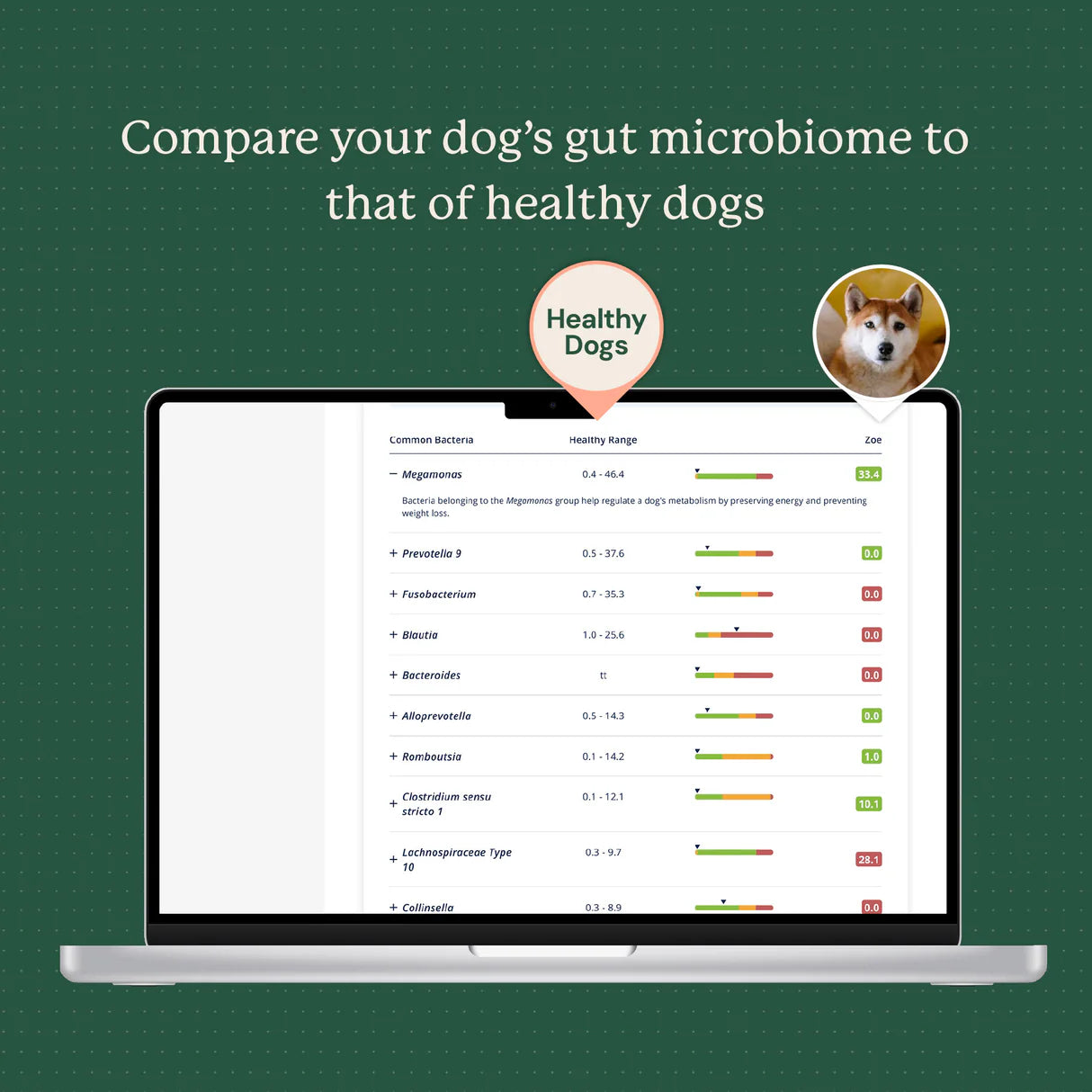 Compare pet health against healthy dogs