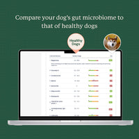 Thumbnail for Compare pet health against healthy dogs