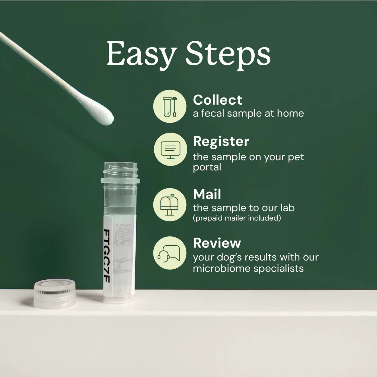 Gut Health Test Collection Steps