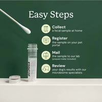 Thumbnail for Gut Health Test Collection Steps