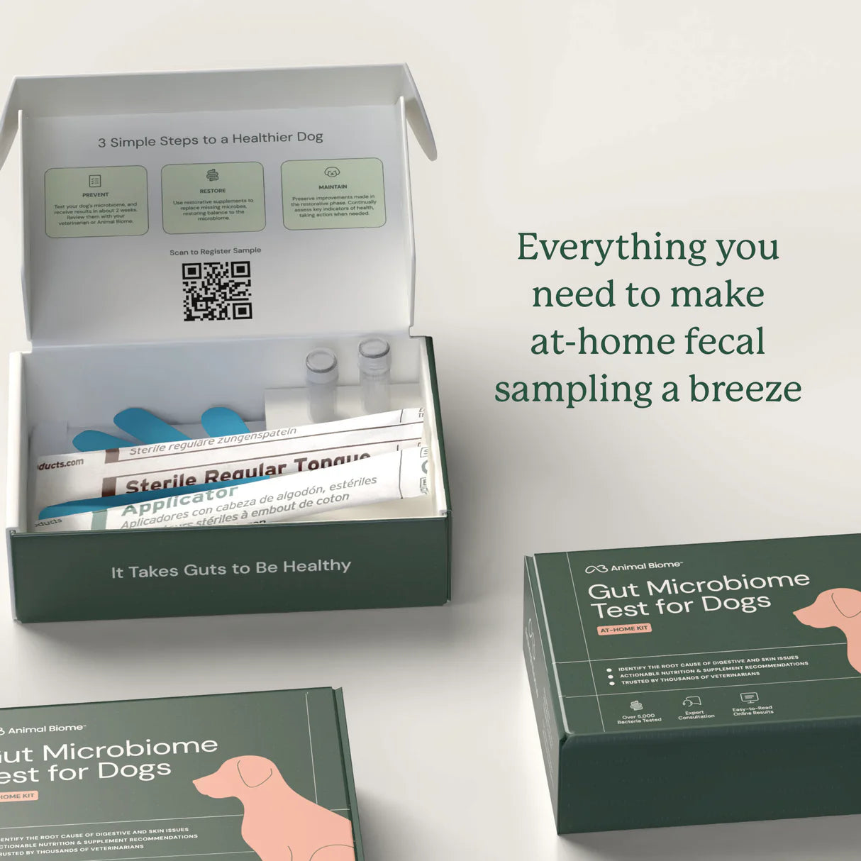 Gut Health Test Kit Contents