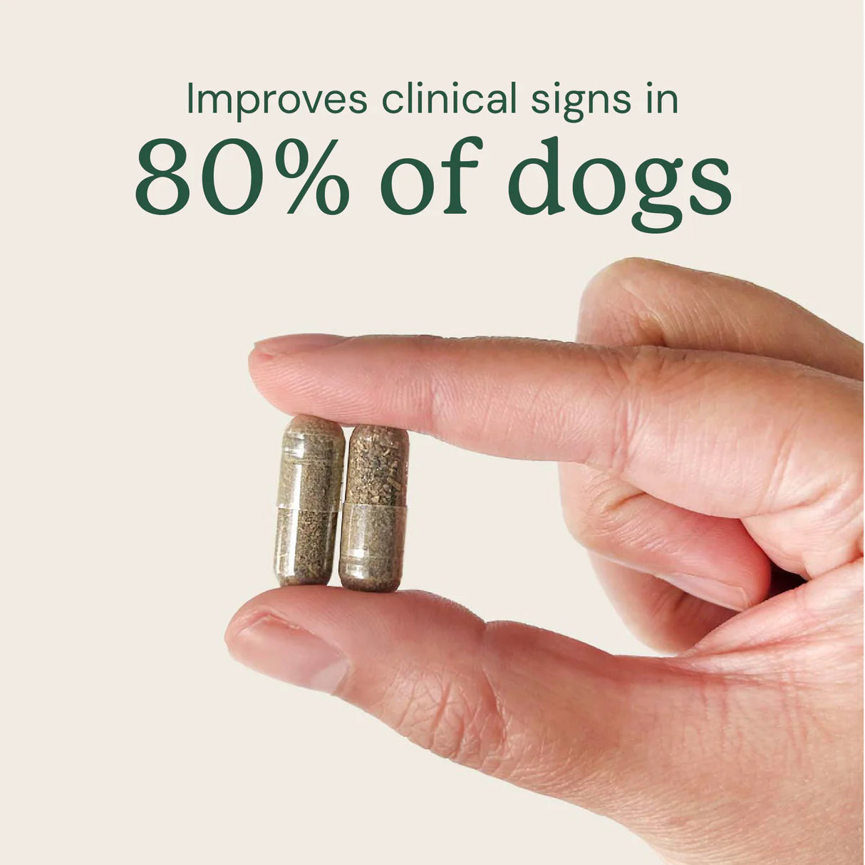 Gut Restore for Dogs