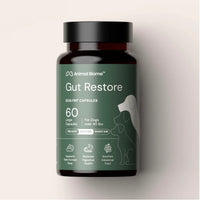 Thumbnail for Gut Restore for Dogs