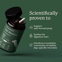 Thumbnail for Gut Restore for Dogs