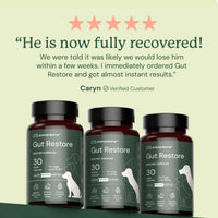 Thumbnail for Gut Restore for Dogs