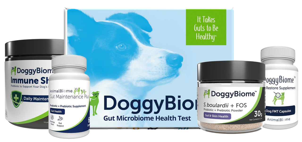 Mild to Moderate Digestive Issues for Dogs