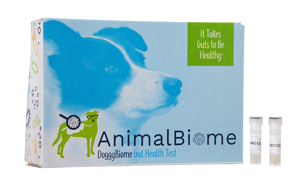 DoggyBiome: Gut Health Test
