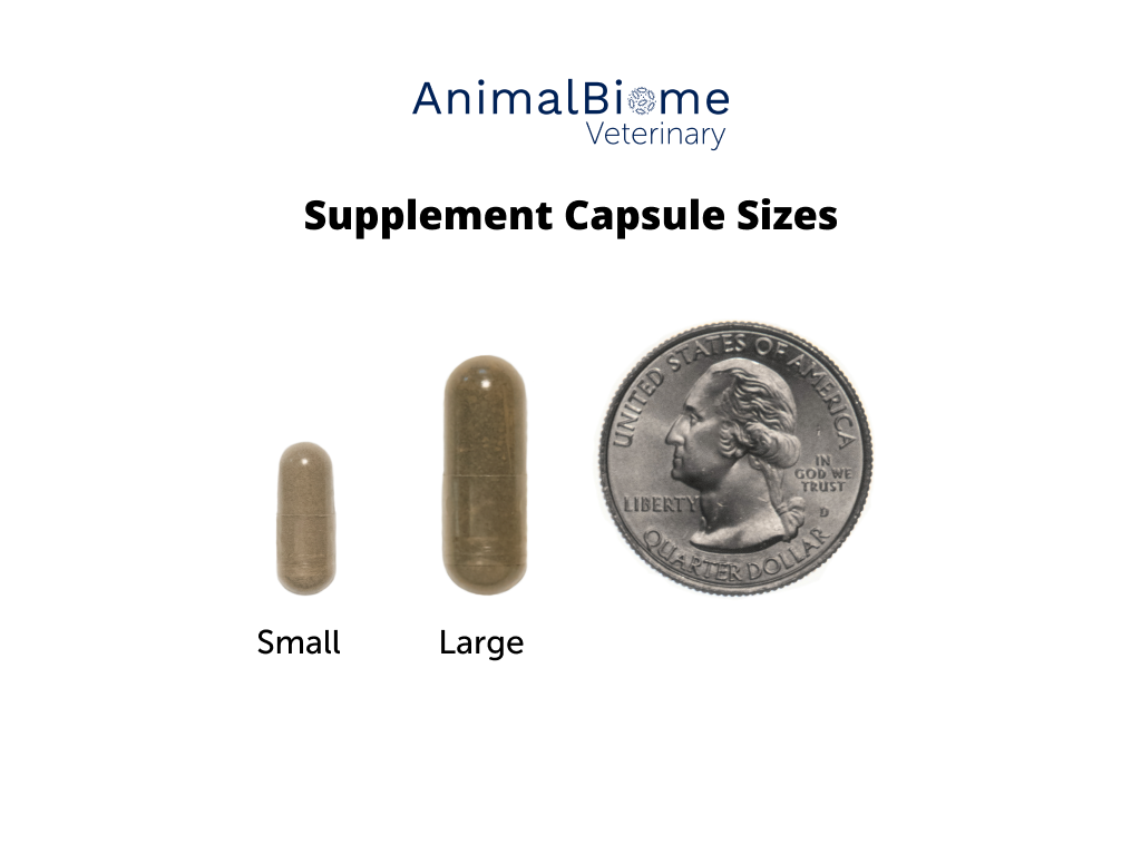 Skin & Coat Relief Kit For Dogs