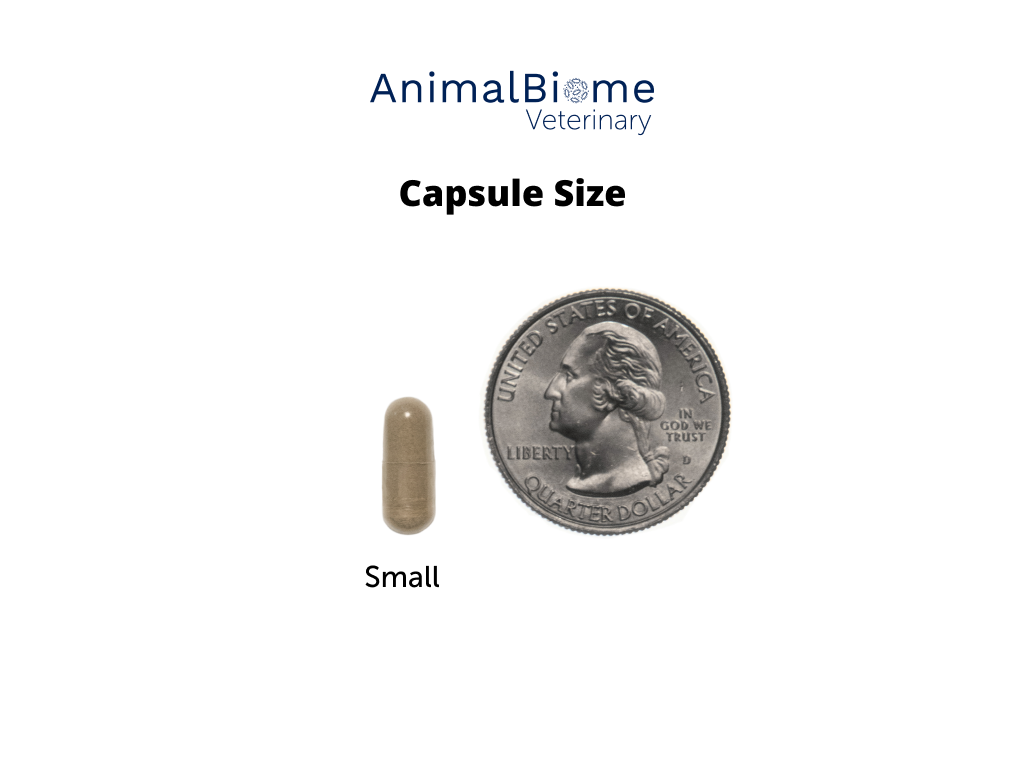 Skin & Coat Relief Kit For Cats