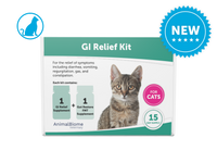 Thumbnail for GI Relief Kit For Cats