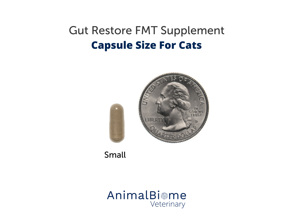 FMT Gut Restore Capsules For Cats
