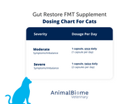 Thumbnail for FMT Gut Restore Capsules For Cats