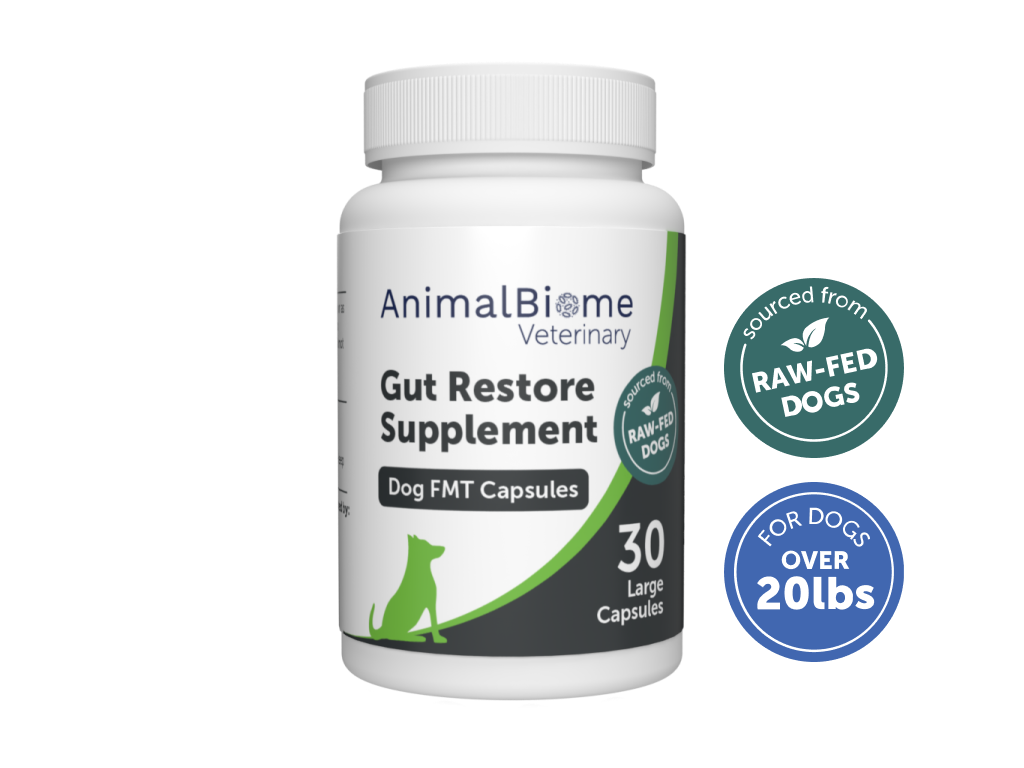 Raw-Fed FMT Capsules For Dogs