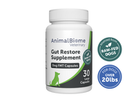 Thumbnail for Raw-Fed FMT Capsules For Dogs