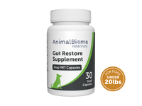 Thumbnail for FMT Gut Restore Capsules For Dogs