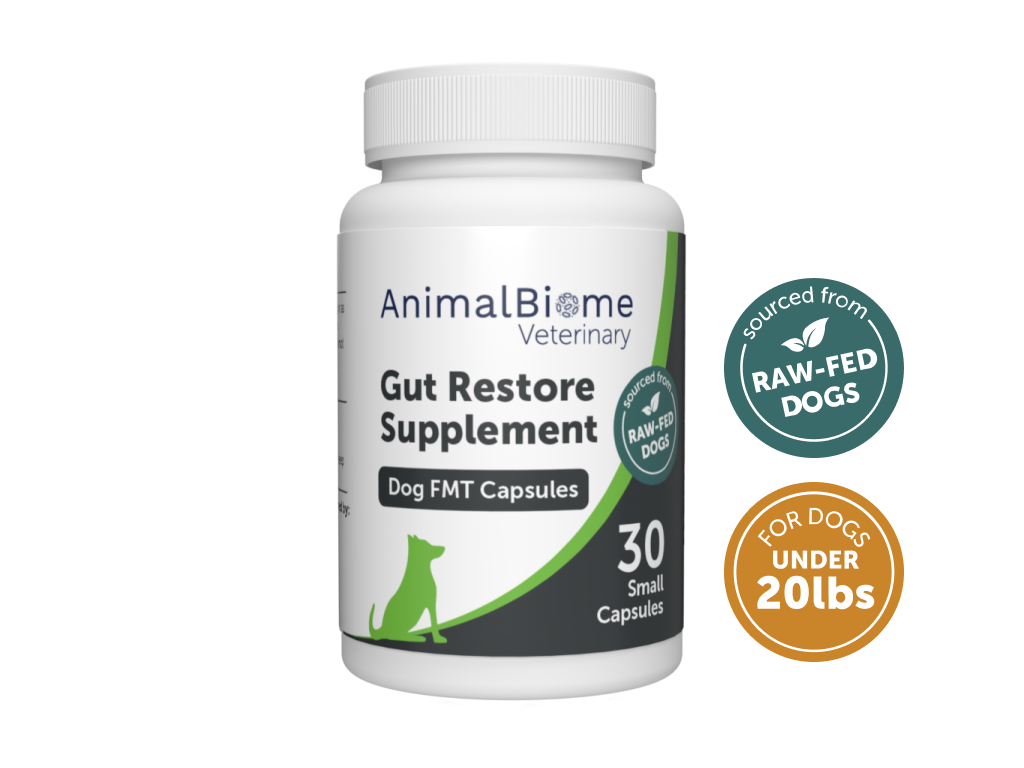 Raw-Fed FMT Capsules For Dogs