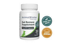 Thumbnail for Raw-Fed FMT Capsules For Dogs