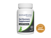 Thumbnail for FMT Gut Restore Capsules For Dogs