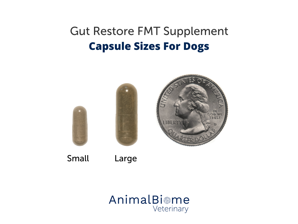 Raw-Fed FMT Capsules For Dogs