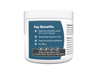Thumbnail for Gut Cleanse Powder For Cats (Pumpkin Flavored)