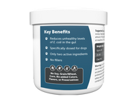Thumbnail for Gut Cleanse Powder For Dogs (Pumpkin Flavored)