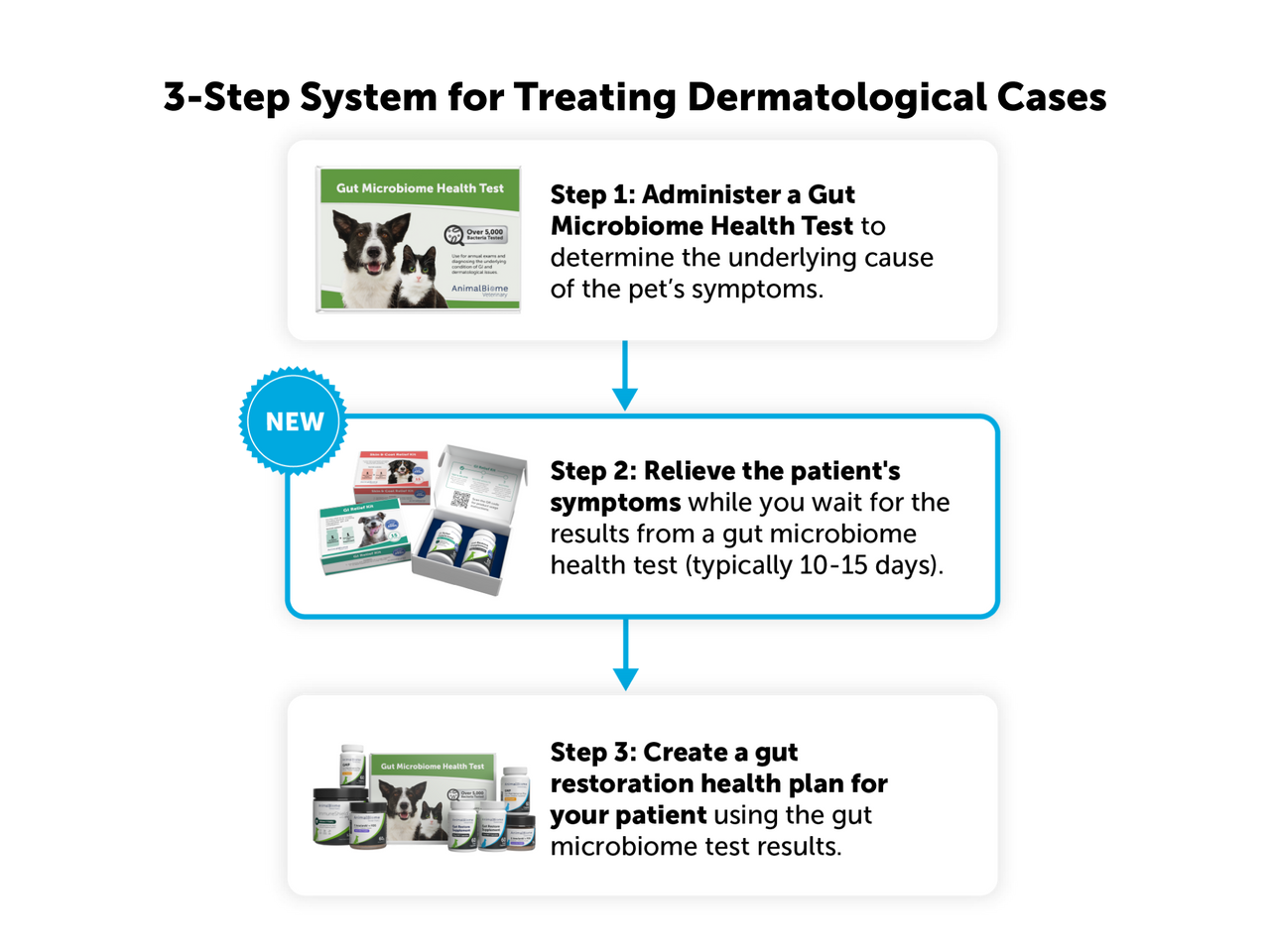 Skin & Coat Relief Kit For Dogs